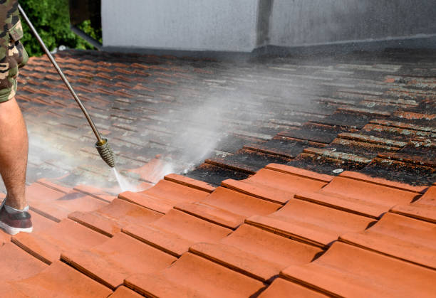 Professional Pressure Washing in Ferndale, PA